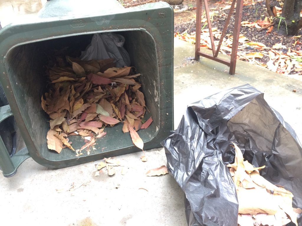 Overturned rubbish bin